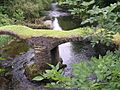 Pont Minllyn, Afon Dyfi - geograph.org.uk - 73508