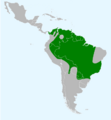 Psarocolius decumanus map