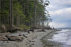 Rathtrevor Beach Provincial Park.jpg