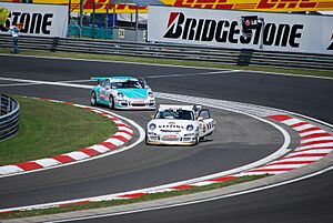 René Rast and Jeroen Bleekemolen Hungaroring 2009