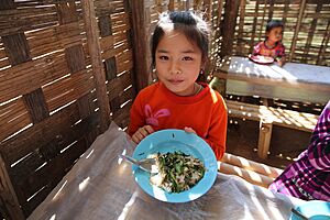 School meals WFP