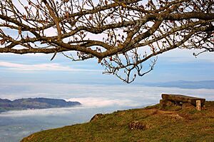 Seebodenalp-foggy Zuger See