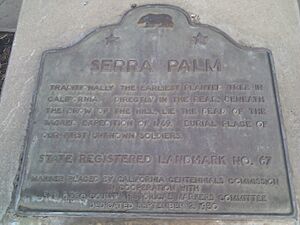 Serra Palm 2012-09-13 20-11-09