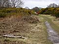 Site of Martlesham Heath airfield - geograph.org.uk - 1219418