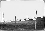 StateLibQld 1 129895 Tents erected at the Lytton Quarantine Camp, Lytton, Brisbane, 1919