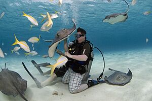 Stingray CIty in Grand Cayman