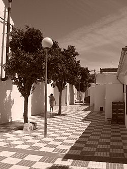 Strada di Marinaleda, Andalusia (Spagna)