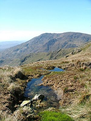 Stream Source, Red Dell Beck - geograph.org.uk - 9862