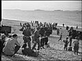 The Royal Navy during the Second World War- Operation Torch, North Africa, November 1942 A12719