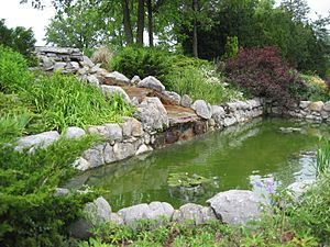 Thornden Park Lily Pond-1