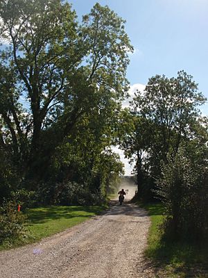 Toyd Down Byway - Perfect Day - panoramio.jpg