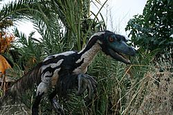 Velociraptor-by-Salvatore-Rabito-Alcón