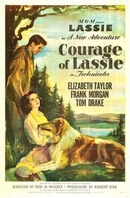 01 Courage of Lassie.jpg
