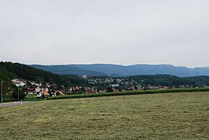 2012-05-26-Seeland (Foto Dietrich Michael Weidmann) 152