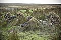 34 Squadron undertake Live Fire Tactical Training at Otterburn Camp. MOD 45159226