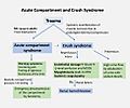 Acute compartment and crush syndrome