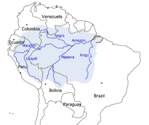 Amazon river basin