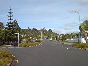 Arch Hill Reserve In Auckland City I.jpg
