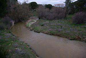 River Arevalillo near Nava de Arévalo