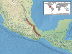 Atropoides nummifer distribution.png