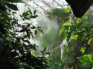 Baltimore Aquarium - Rain forest