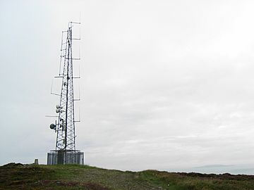 Ben of Howth Radio Mast - geograph.org.uk - 518811.jpg