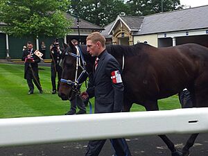 Black Caviar Ascot