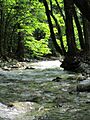 Boulder creek