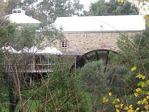 Bridgewater Mill 3