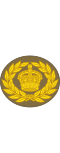 British Army (1920-1953) OR-8.svg
