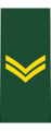 Canadian Army OR-4