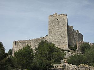 Castell de Polpís des del SE