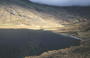 Ceann Loch Morar. - geograph.org.uk - 47594
