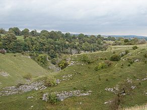 Chee Dale - geograph.org.uk - 986703