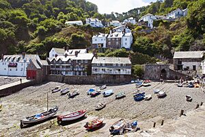 Clovelly smt