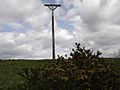 Combe Gibbet - geograph.org.uk - 1907