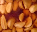 Condensation on a jar of home-pickled garlic