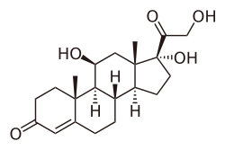 Cortisol2