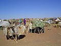Darfur IDPs 1 camp