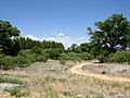Dead Horse Ranch
