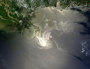 Deepwater Horizon oil spill - May 24, 2010