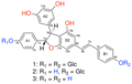 Dimer Resveratrol Structure