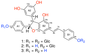 Dimer Resveratrol Structure