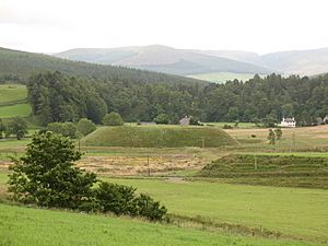 Doune of Invernochty - geograph.org.uk - 923559