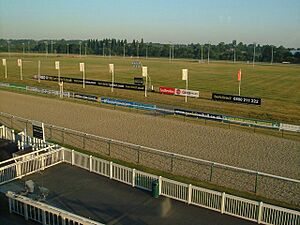 Dunstall Park racecourse, Wolverhampton - geograph.org.uk - 642521