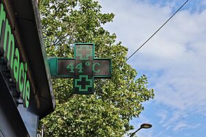 Enseigne de pharmacie le 26 juin 2026 à Paris 01