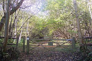 Entrance to Park Wood - geograph.org.uk - 1568985.jpg