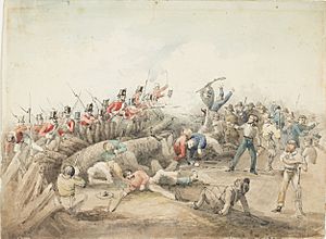 Eureka stockade battle