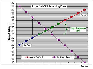 Expected CRS Hatching Date