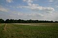 Fakenham Wood - geograph.org.uk - 219909